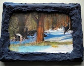 From Deer in the Wood Series Mixed Media Hand-Colored Original Ink Jet Print on Canvas with Paper-Mache and Wood Frame