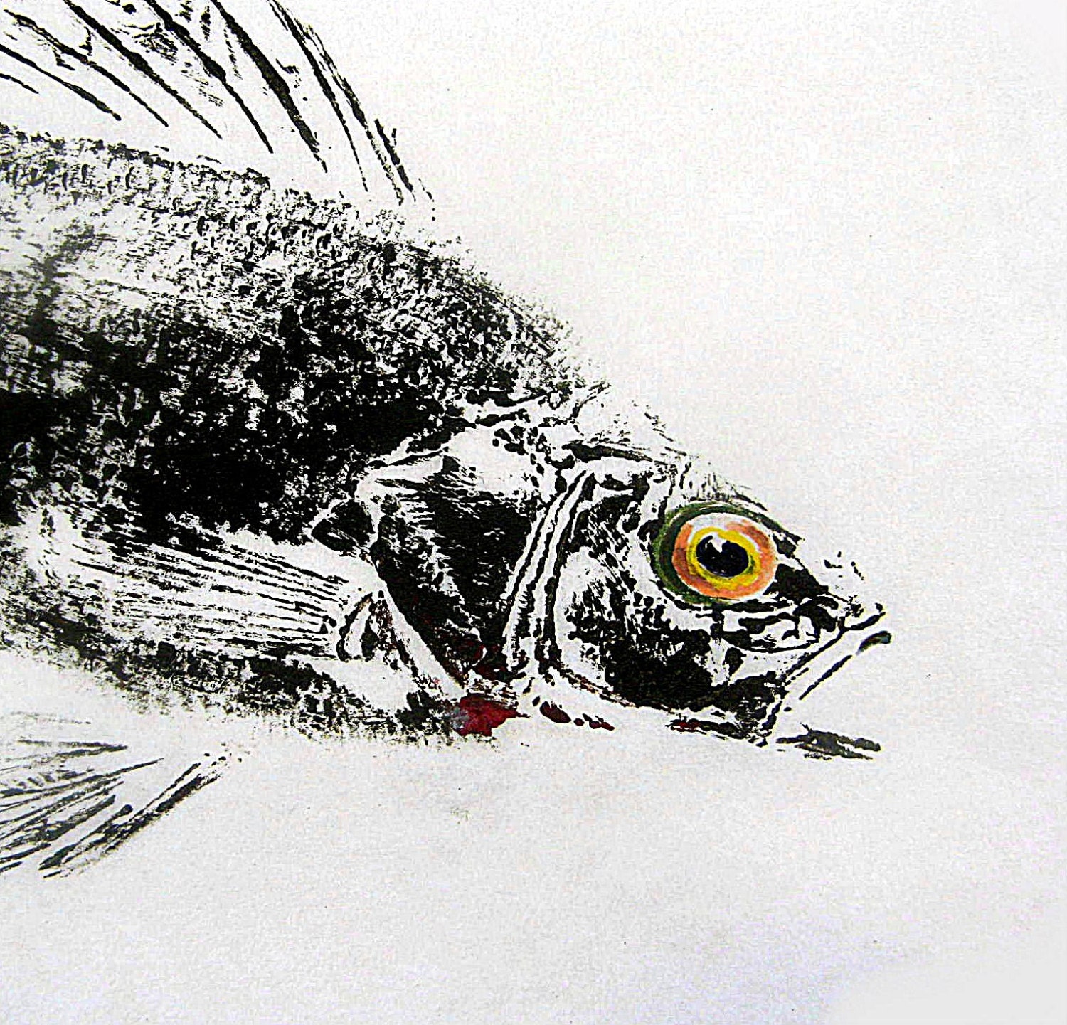 Yellow Perch Original GYOTAKU Fish Art Rubbing on Rice Paper