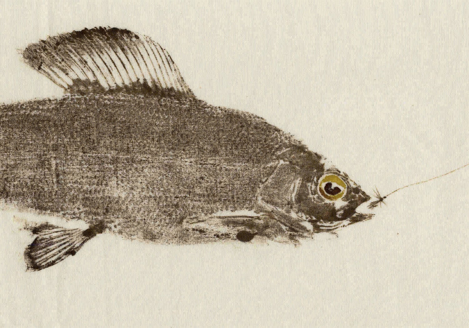 Arctic Grayling with fly Original GYOTAKU Fish Rubbing 17X13 on Premium muslin
