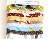 fabric scrap pack No. 29