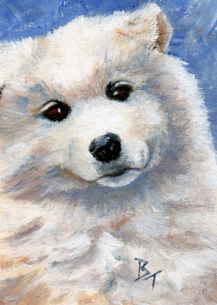 Look At That Face Original aceo