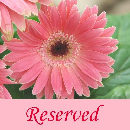 CUSTOM LISTING for Analisa Rodriguez