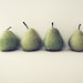 Pear still life photograph - food photography fruit kitchen art green pears wall art fine art photography white decor 8x10 - Take Four