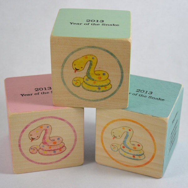 Birth Year Baby Keepsake Block - 2013 Year of the Snake