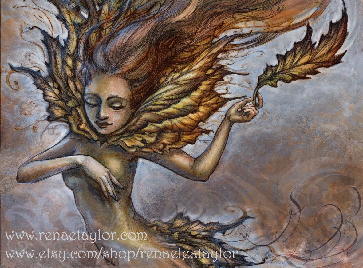 Leaf Dancer .......unmated 11x14 by renae taylor