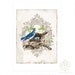 French Crowned Bird, Giclee, Art Print, Collage, Birds Nest, Nature, Woodland, Vintage Style, Collage