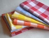 Large Gingham Cloth Napkins by Dot and Army