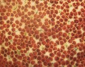cherry print fabric with gold highlights