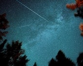 Star photography, constellations, zodiac, meteor, astrology, horoscope, summer sky, milky way, pine trees, starry night