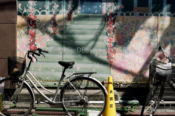 Life is bicicle, photograph print