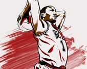 Derrick Rose Chicago Bulls NBA Illustrated Print (Limited Edition)