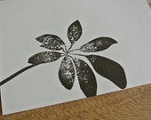 Umbrella Leaf Notecard