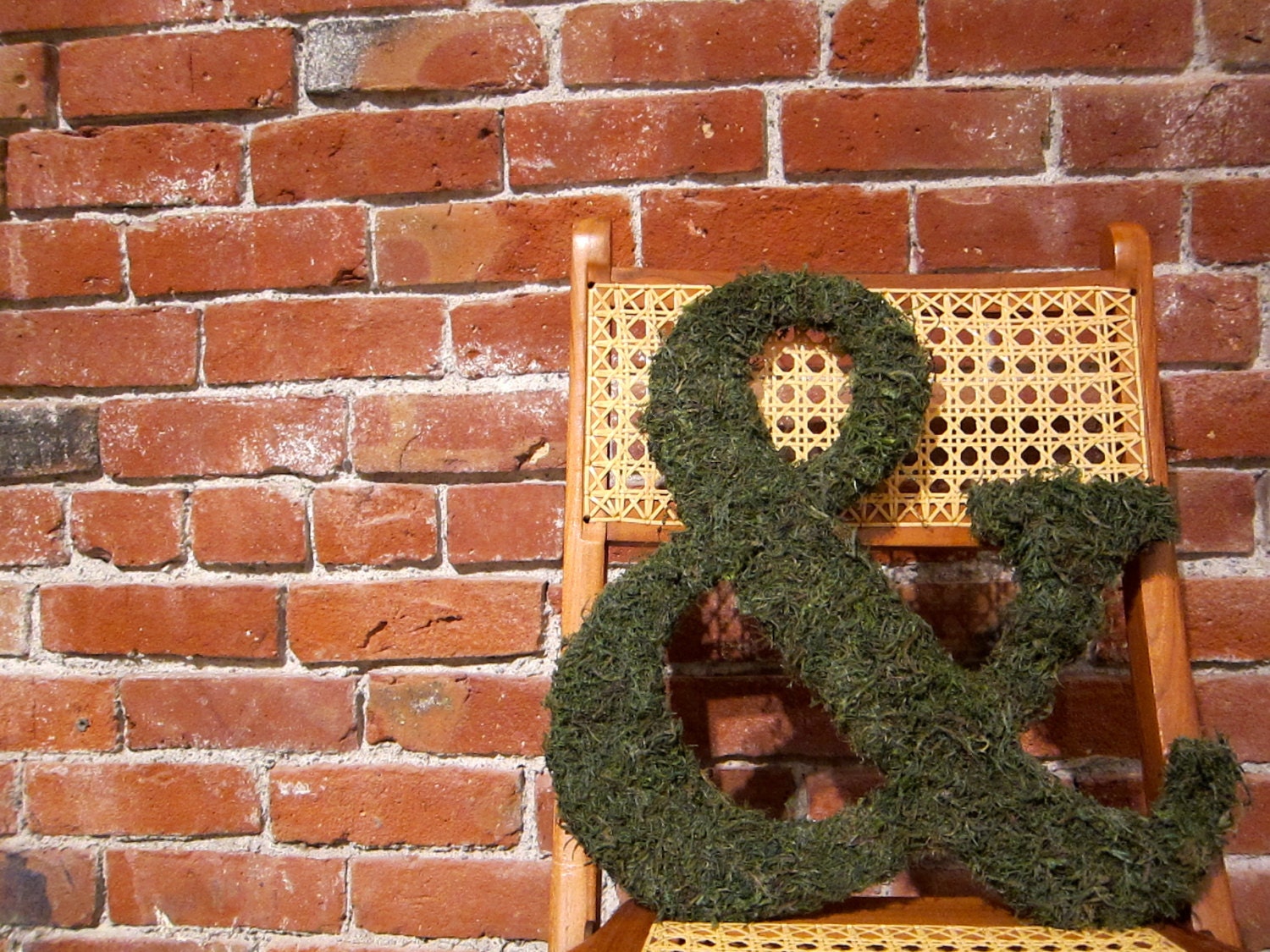 Ampersand Moss Letter 15"
