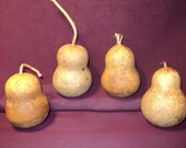 Craft Gourds 4 Chubby Mini Craft Gourds, Christmas Ornaments  (Item 31)