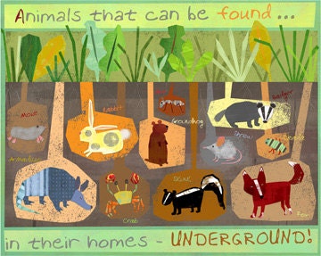 Underground Animals 11x14