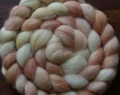 Clamshell Superfine Alpaca Spinning Fiber