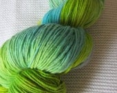 Earth & Sky.  Handpainted Merino Yarn Fingering Weight 1 ply