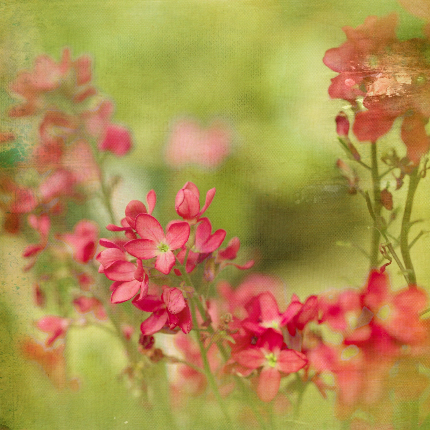Almost There 8x8 Print