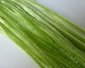 Vintage Velvet Celery Green Chenille Stems (12)