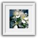 Cherry Blossom Flower Photography -Cottage Chic -White Flower -Spring Decor -Square Art -8x8 Colorado Fine Art Photograph