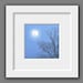 Night Photography Blue Moon -8x8 Print -Bare Tree -Full Moon -Blue Decor -Minimalist Art -Home Decor Art -Colorado Photography -Square Art