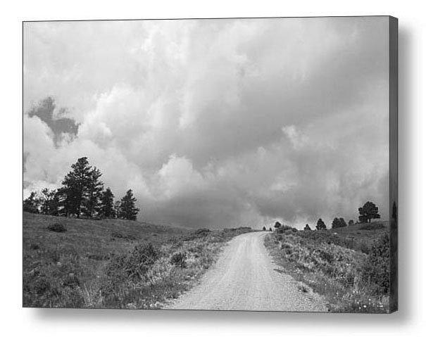 Black and White Photography -Country Road -8x10 Print -Western Landscape -Road Less Traveled -Colorado Fine Art Photography