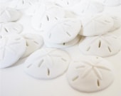 Sand Dollar Buttons by Buttons Galore