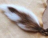 Deer tail - real whitetail deer totem dance tail on leather belt loop for shamanic ritual and dance DR01