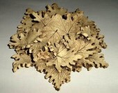 Textured Ceramic Pottery - Primitive Planter or Display Wall Pocket, Wall Hanging -  Abstract Rustic Organic - Artist Signed