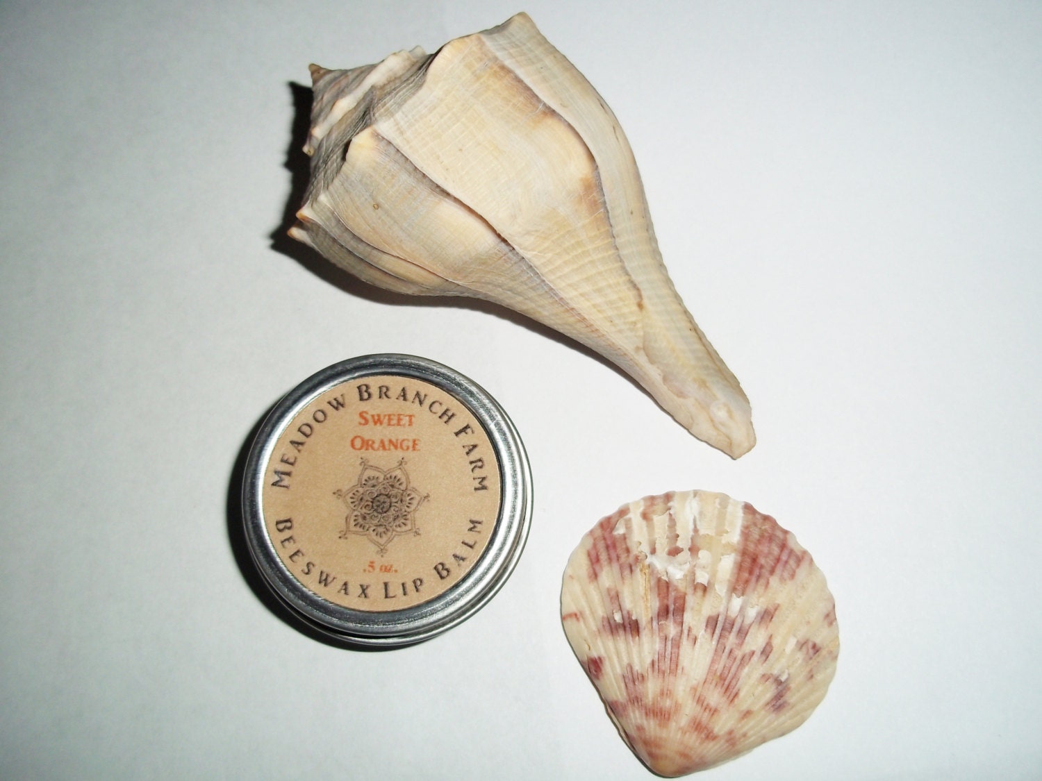 Sweet Orange Beeswax Natural Lip Balm Coconut Oil Cocoa Butter Essential Oils Pure Brown Nature Tan Shells