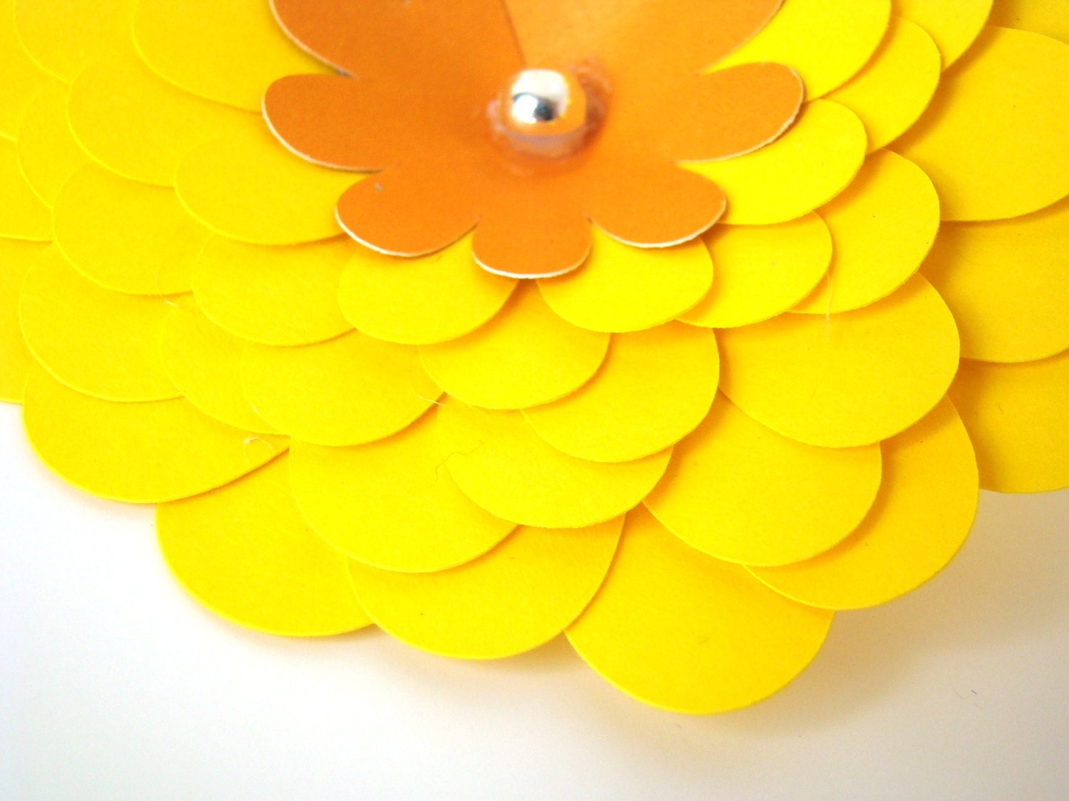 Paper Daisies - You Pick the Colors
