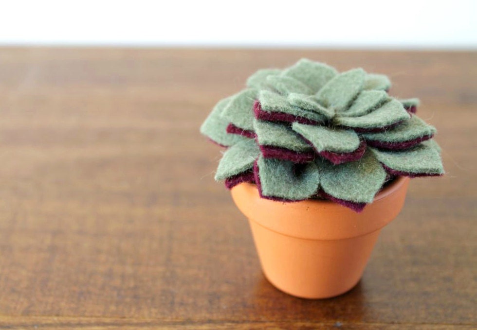 Small Felt Succulent // Artificial Potted Plant // Felt Leaves // Home Apartment Decor by OrdinaryMommy on Etsy