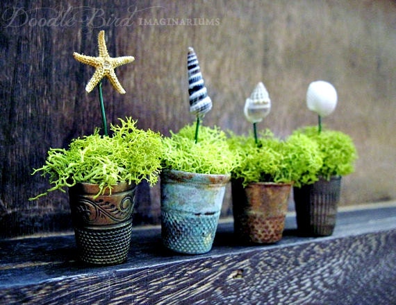 Thimble Planters / Nautical Beach Decor / Miniature Air Plant Containers / Real Sea Shells & Starfish / Collectible Party Favors