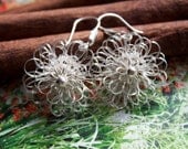 Sterling silver Earrings