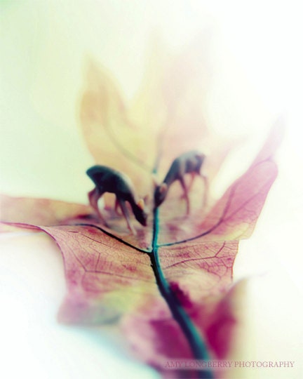 Deer Print, Curiosities, Surreal,Whimsy, Etsy Art, Nature Photography, Tiny Deer Grazing, leaf, light, Lovely Wall Art