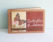 1934 Butterflies and Moths of America by Lillian Davids Fazzini with 64 Color Illustrations
