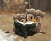 Needle Felted Owl Ornament - Reading to Young