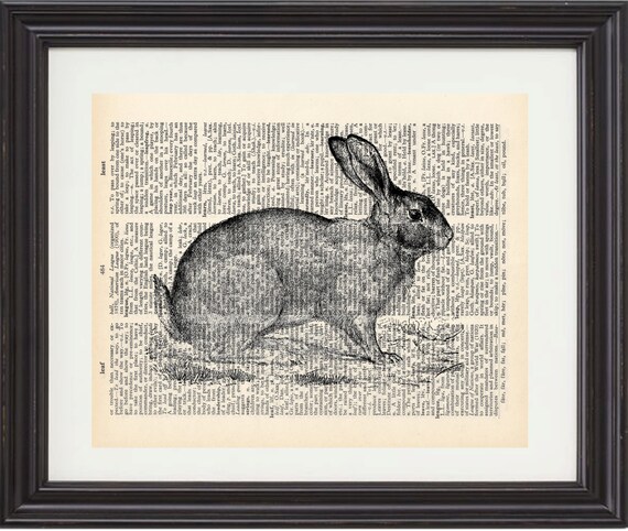 Rabbit, Art Print, Vintage Dictionary, Book Page, Bunny, Nursery, Child, Nature, Woodland