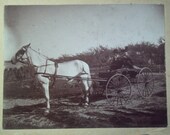 Original vintage photo Couple on horse and buggy