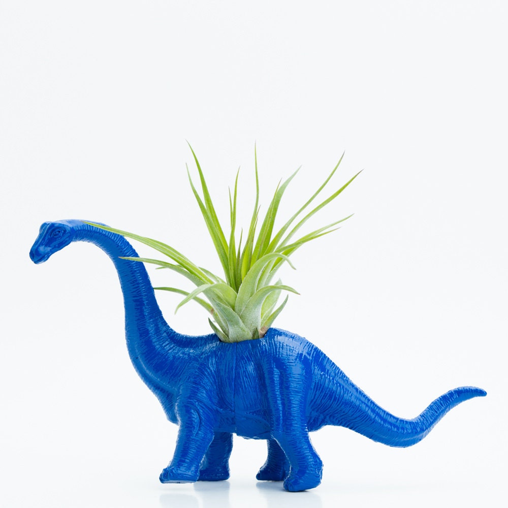 Small Dinosaur Planter with Air Plant Room Decor, College Dorm Geekery, Blue, Red, Orange Dino Decoration