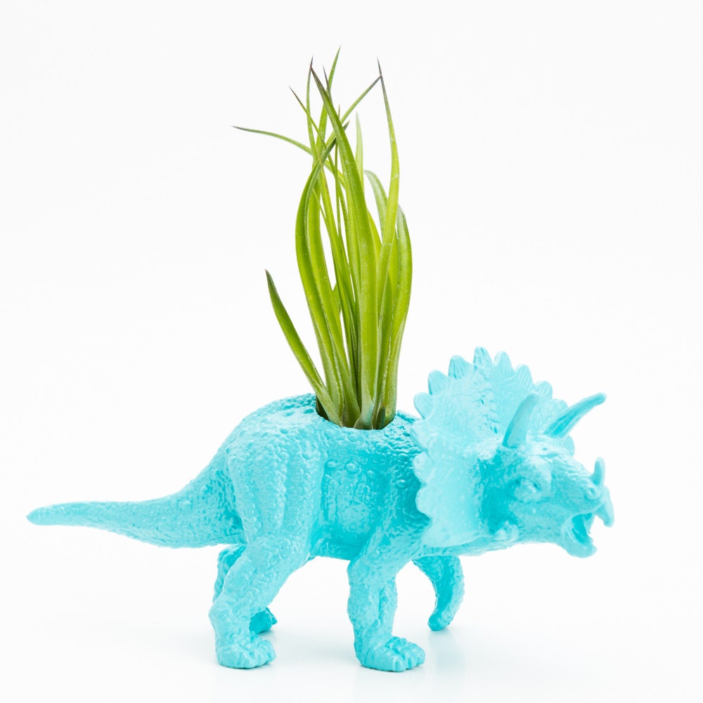 Small Dinosaur Planter with Air Plant Room Decor, College Dorm Ornament Plants and Edibles