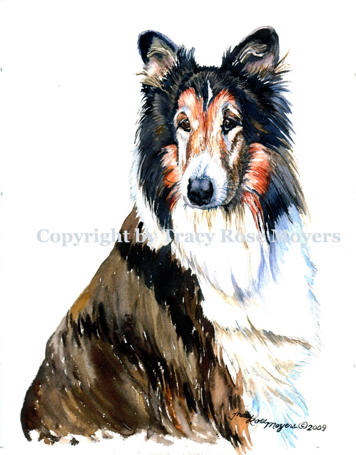 Collie Dog Open Edition giclee print by Tracy Rose Moyers