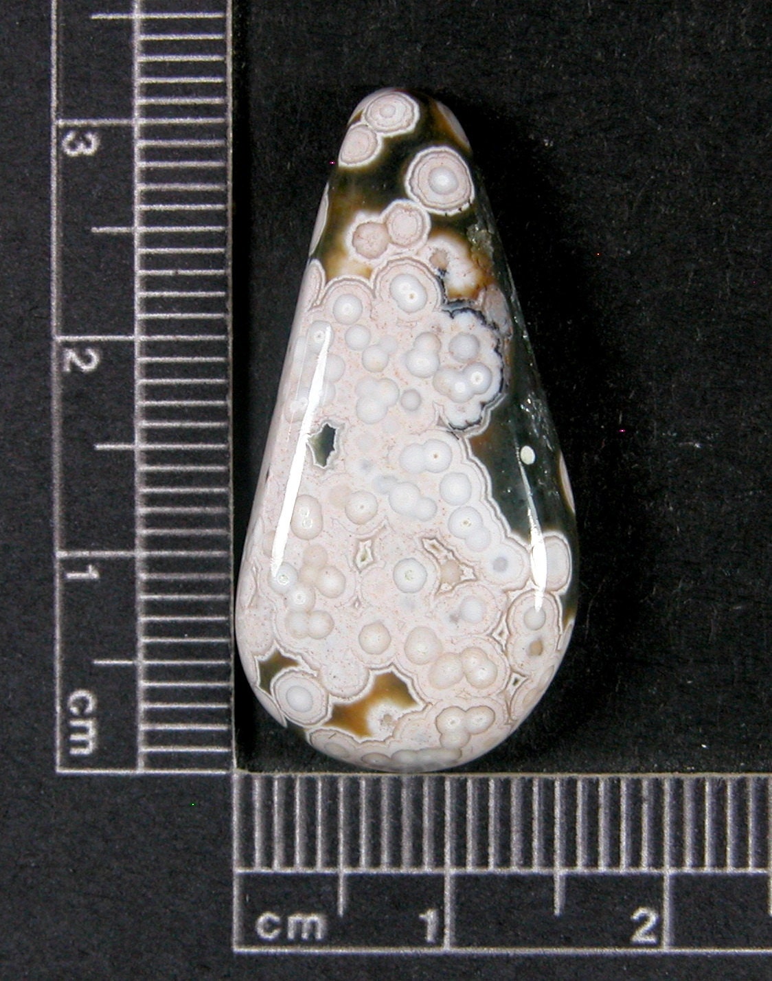 Ocean Jasper Cabochon Hand Cut JO245
