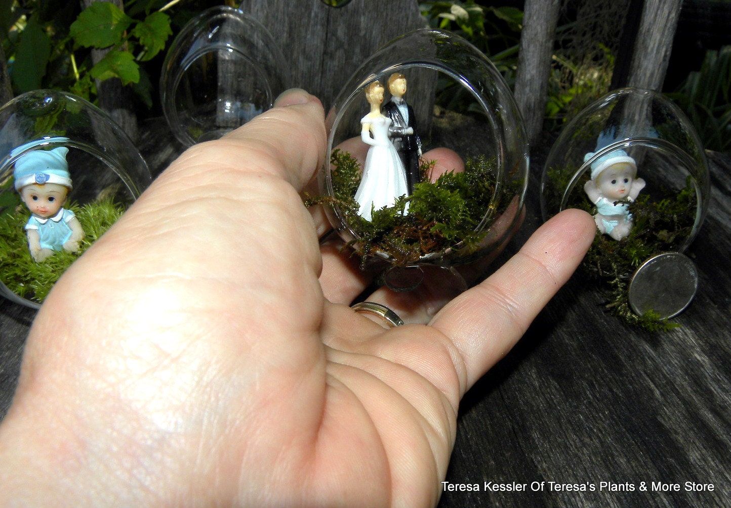 Micro mini Wedding Couple terrariums-Bridal shower gift-live or preserved moss-Wedding Favor