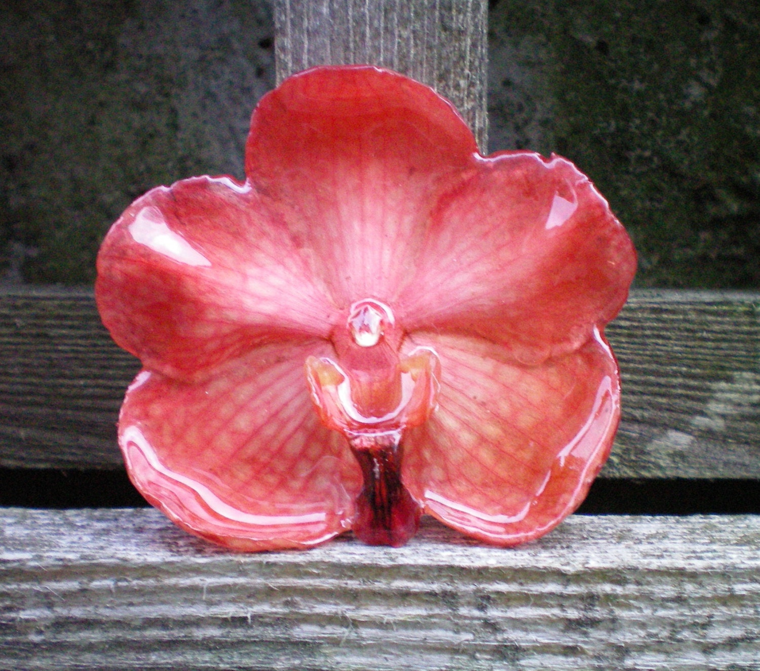 REAL Natural Dark Pink ORCHID Pin and Pendant