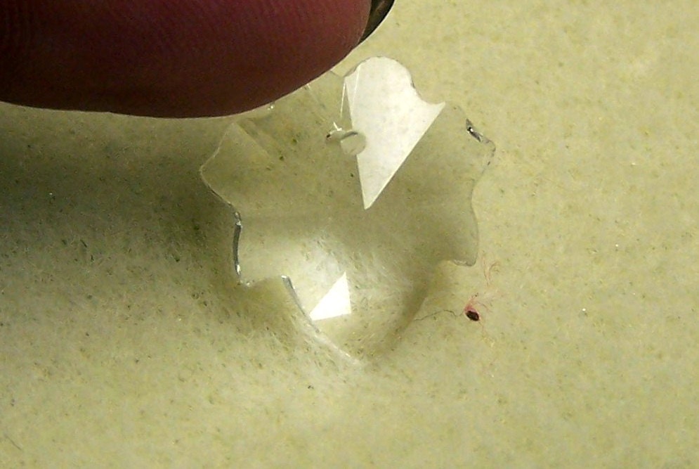 Destash - Celestial Crystal  Clear Flower Beads
