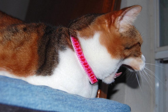 Cat Collar, Valentine's Day, Pink, Red, White, Hearts