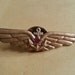 Vintage 1940s-50s USSR Officers of Carrier Based Planes Flying Wing Badge
