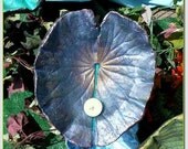 A lavender blue and teal water lily - cast leaf birdbath/feeder (Leaf 1339) - beautiful in sun or shade - hummingbird rest stop
