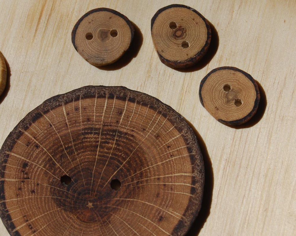 10 Wooden Buttons, Oak, Mixed Sizes
